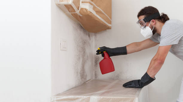Professional Crawl Space Mold Remediation technician working in Valley Stream, NY